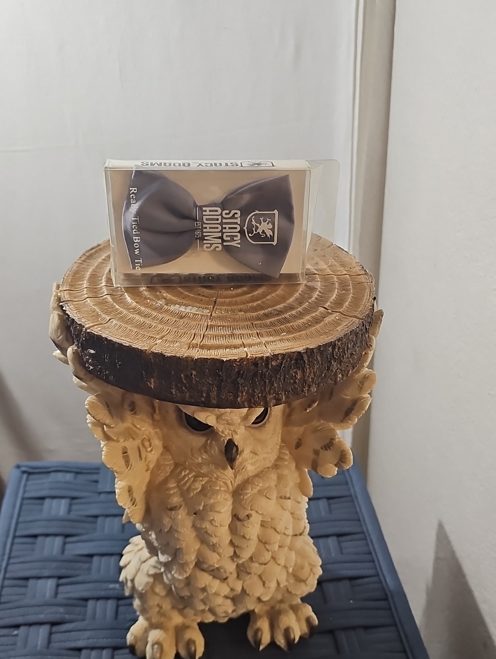 Stacy Adams Black Bow Tie in Display Box